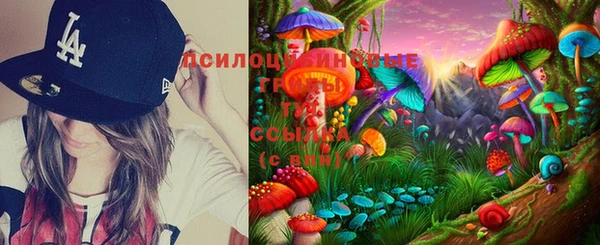 ГАЛЛЮЦИНОГЕННЫЕ ГРИБЫ Дмитров