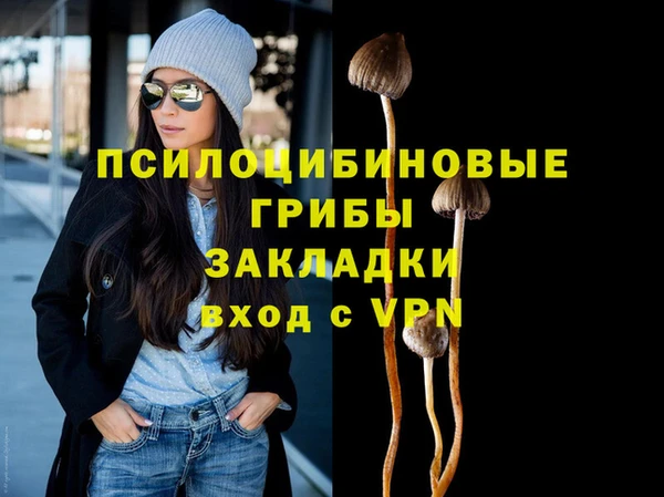 амф Дмитровск