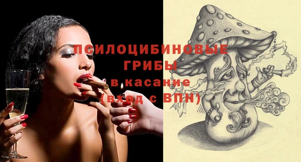 ГАЛЛЮЦИНОГЕННЫЕ ГРИБЫ Дмитров