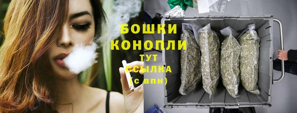 амф Дмитровск